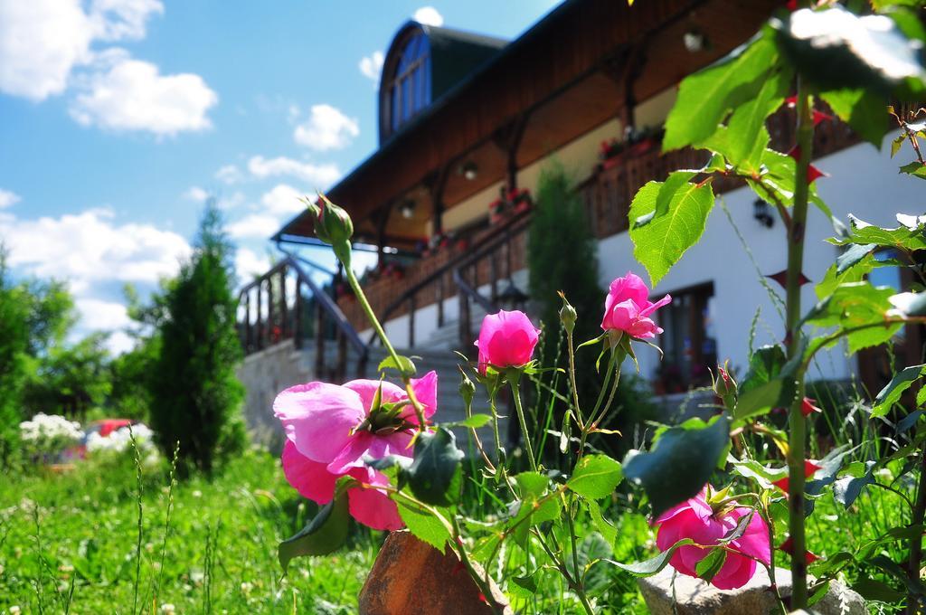 Conacul Domnitei Hotel Voronet Exterior foto